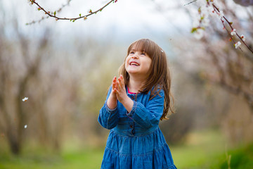 A little girl in a blue dress folded her hands in prayer, standing in the midst of a flowering apricot garden