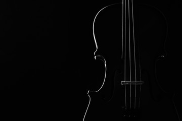 Violin classical music instrument close-up. Stringed musical instrument violin isolated on black...
