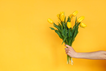Crop hand with yellow tulips