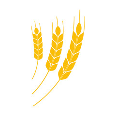 Wheat spikelets icon design.