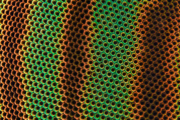 Extreme magnification - Horse fly compound eye under the microscope at 20:1