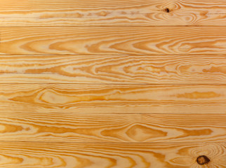 Pine wood texture