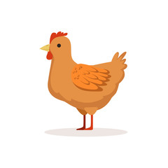 Brown hen, poultry breeding vector Illustration