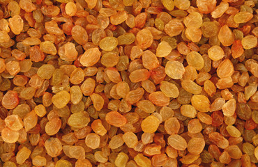 White grape small raisin close up background