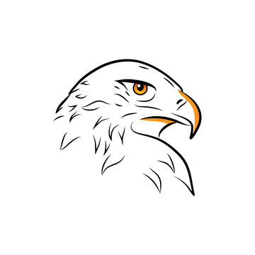Eagle head outline vector illustration