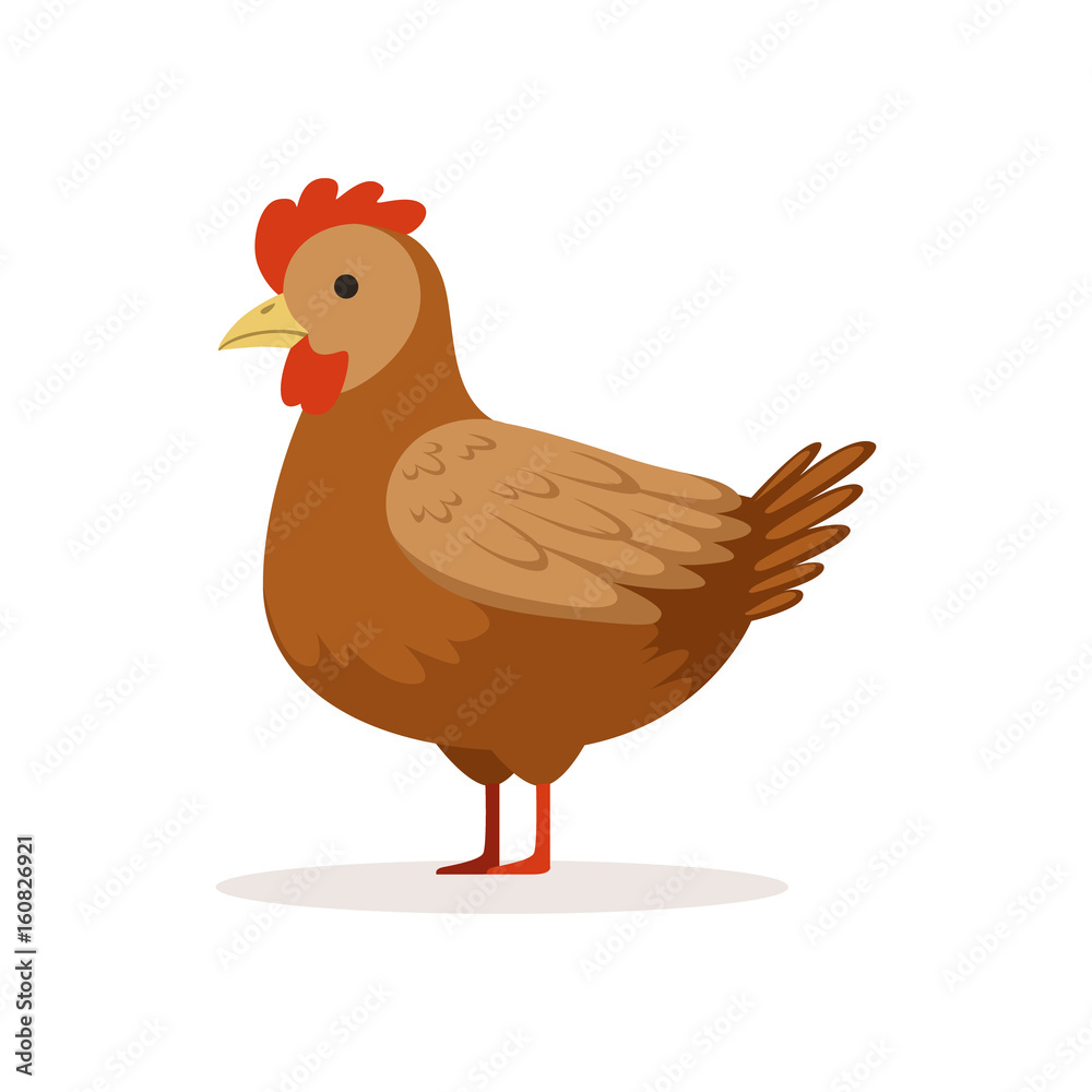 Sticker Brown hen, poultry breeding vector Illustration