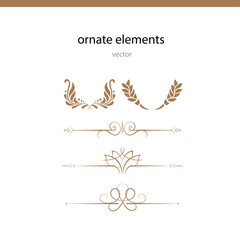 Ornate elements vector line