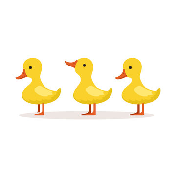 Duckling Cartoon Images – Browse 70,434 Stock Photos, Vectors, and Video |  Adobe Stock