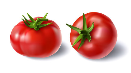 Vector illustration of a realistic style set of red fresh tomatoes with green stems isolated on white, top view, side view. Print, template, design element for packaging