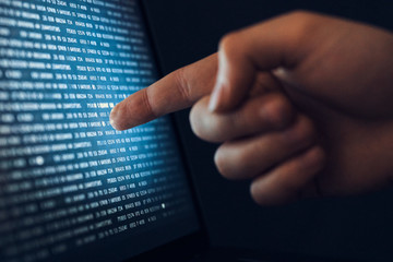 Operating system, code development, algorithms, hard disk, software