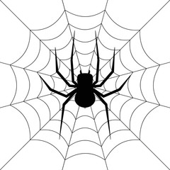 Spider. Web. Vector.