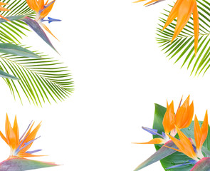 Fototapeta na wymiar mix of fresh green exotic tropical leaves and flowers frame on white background
