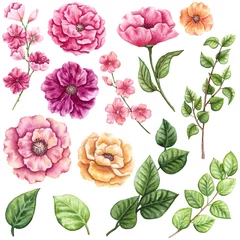 Behang Set of Watercolor Greenery and Pink Flowers © Nebula Cordata