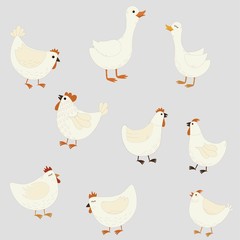 Set of cute cartoon farm birds