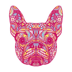 Obraz premium Portrait of French Bulldog. Hand-drawn illustration. T-shirt design. Vector