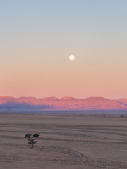 Landscape in Namib-Naukluft National Park, Namibia, Africa