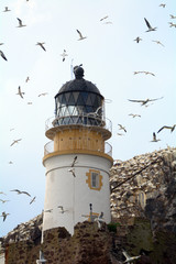 Lighthouse, Bass Rock, Scotland