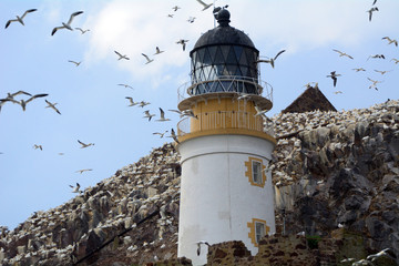 Lighthouse, Bass Rock, Scotland