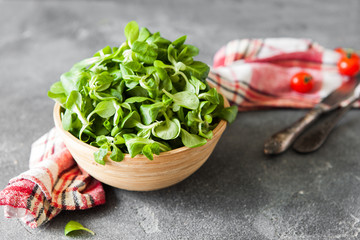 Lambs-lettuce