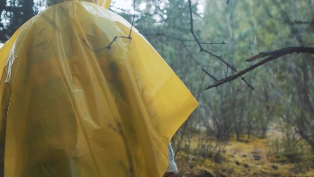 traveler is clothed in a yellow raincoat. Rear back view of young female hiker walking on trek with backpack through dense rain forest nature. Young girl living active lifestyle.