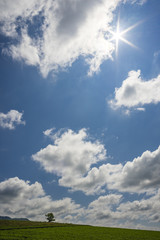 Obraz premium 夏の草原と青空