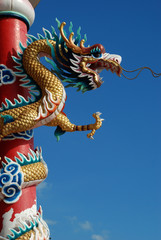Fototapeta premium Chinese dragon in front of blue sky