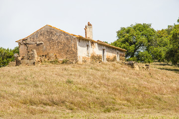 Abandoned farm house and plantation in Santiago do Cacem