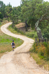 Fototapeta premium Girl hiking in a Trail in Cork tree forest Santiago do Cacem
