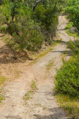 Trail in Santiago do Cacem