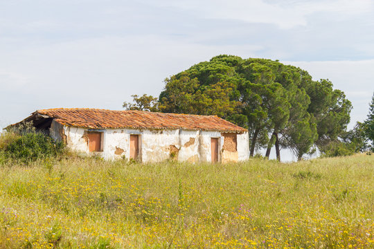 Farm house with  flowers and pine trees in Vale Seco, Santiago do Cacem