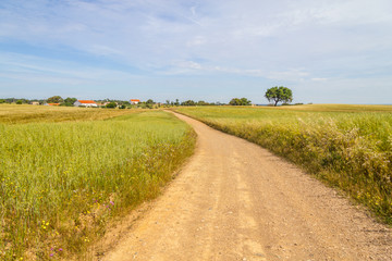 Farm road and houses in Vale Seco, Santiago do Cacem