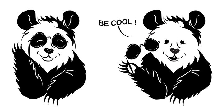 Cool Panda Draws Off Glasses.