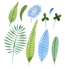 Hand drawn watercolor set fabulous leaves. Illustration for design of wedding invitations, greeting cards, postcards, children's books.