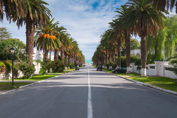 Fototapeta na wymiar Road in the suburbs leading to the sea among the palms, Tunis