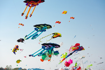 Colorful kites flying in the sky