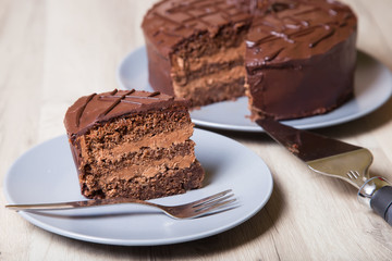 Chocolate cake Prague. Homemade baking.