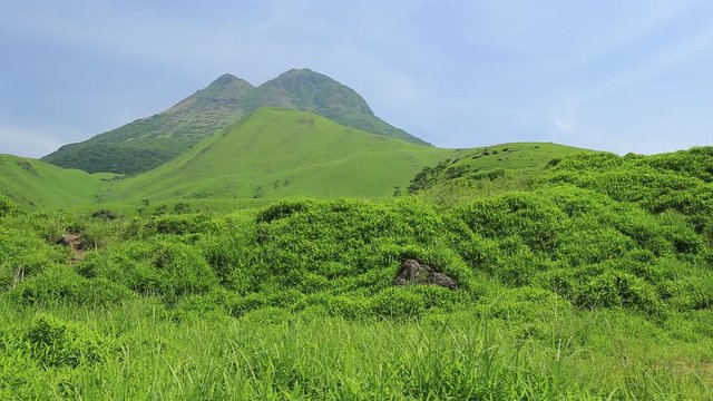 初夏の由布岳