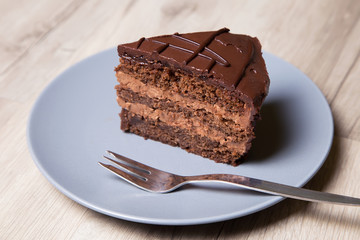 Piece of chocolate cake Prague. Homemade baking.