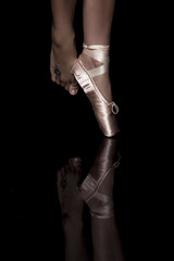 Beauty Ballerina  © DreaMpicS