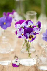 pansy flowers in chemical glassware, table decoration in garden