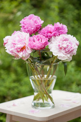 beautiful pink peony flowers bouquet in garden