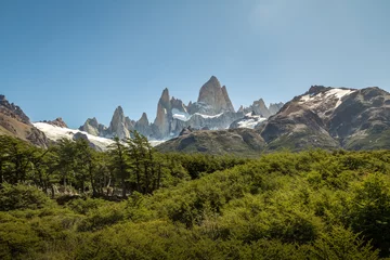 Photo sur Plexiglas Fitz Roy Mont Fitz Roy en Patagonie - El Chalten, Argentine