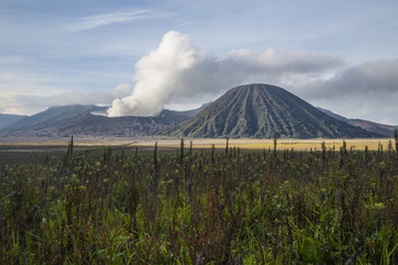 Vistas volcánicas
