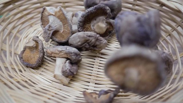 Dried shiitake mushrooms falling in slow motion on basket