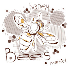 Trend print on a T-shirt. Honey theme. Bee and honeycomb. Print insects.