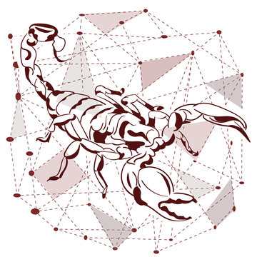 Trend print on a T-shirt. Horoscope, constellation of the scorpion.. Print insects.