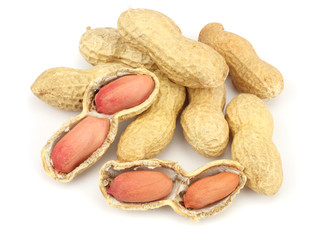 peanuts isolated on the white background