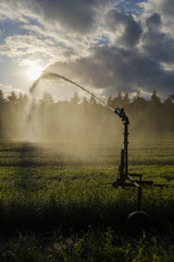 Crop irrigation with a water cannon