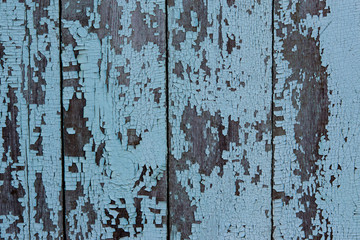 The natural texture of old wooden planks blue. Abstract background.