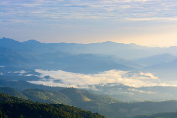 Mountains with fog and forest